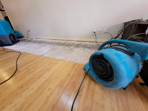 Professional Water Extraction technician working in Glendale, OH